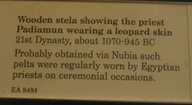 Wooden stela showing the priest Padiamun wearing a leopard skin